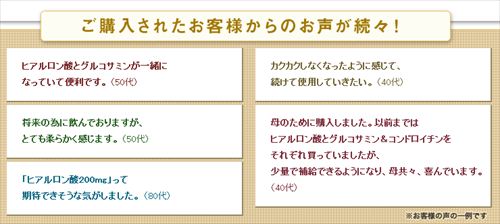 �L���[�s�[�q�A�������_�������h�b�g�R��